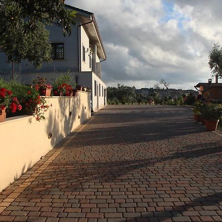 B&B La Terrazza Di フラスカティ エクステリア 写真
