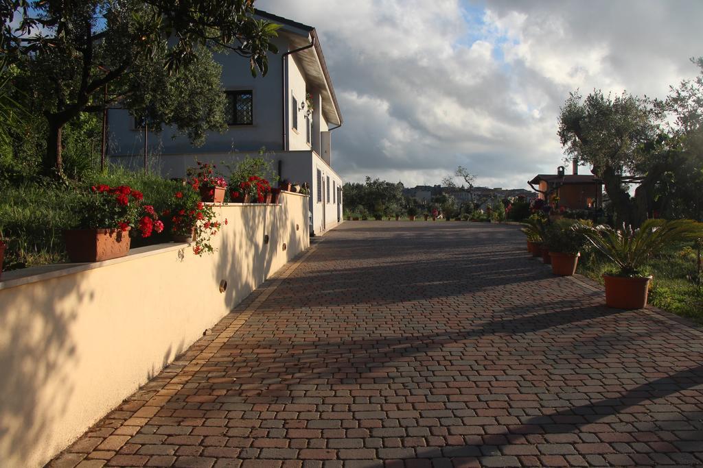 B&B La Terrazza Di フラスカティ エクステリア 写真