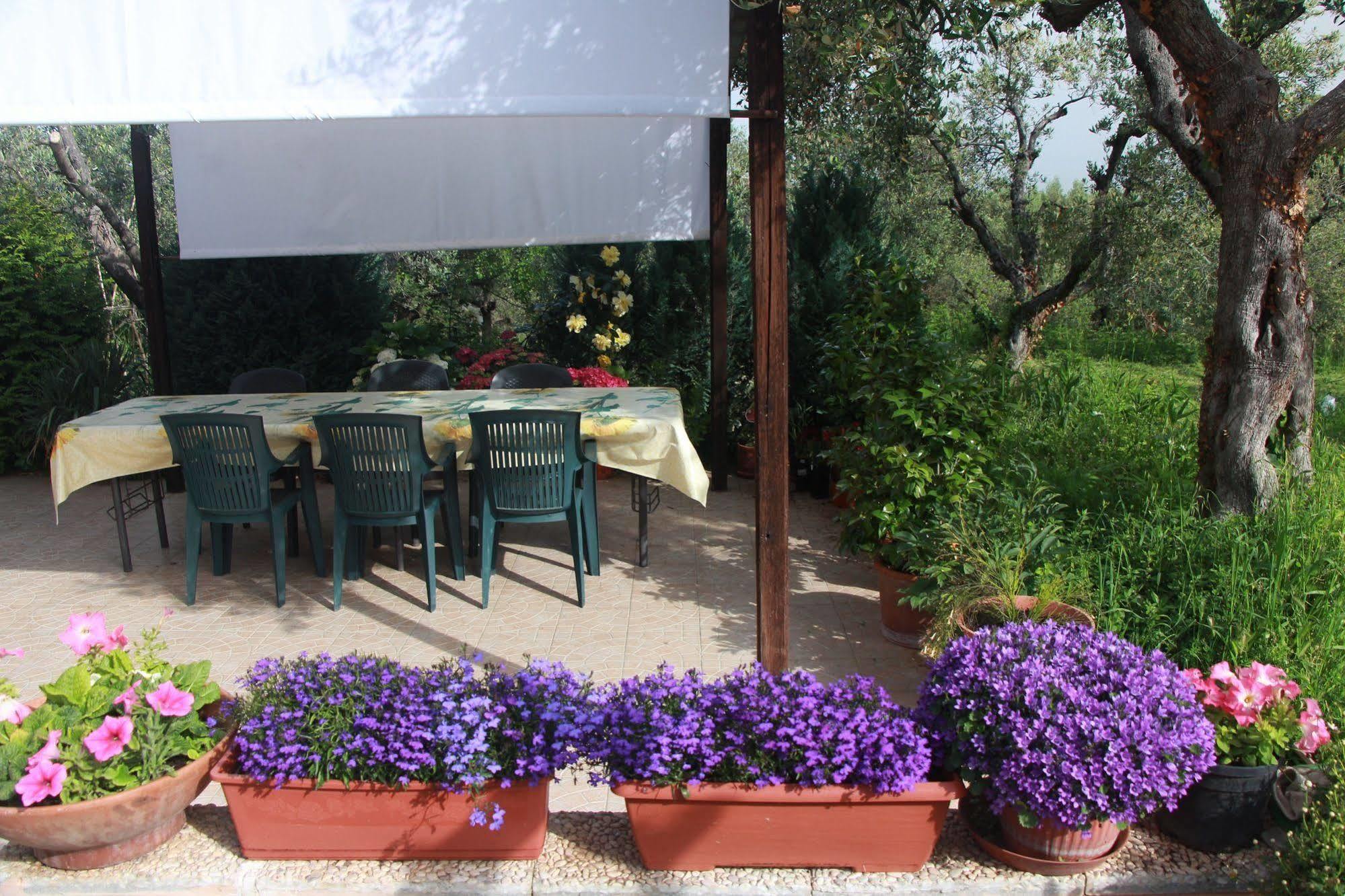 B&B La Terrazza Di フラスカティ エクステリア 写真